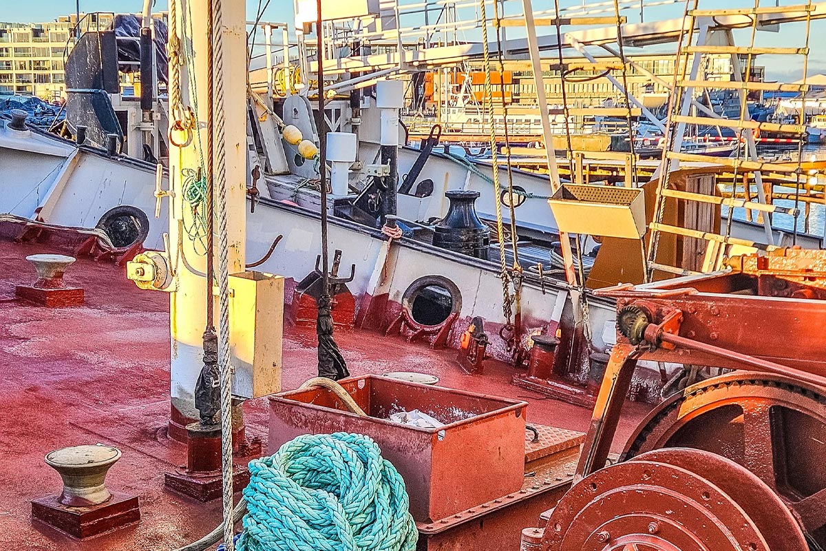 Ship chandler services supplying marine stores and spare parts to vessels